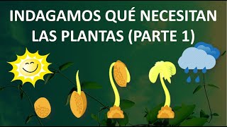 🌱INDAGAMOS QUÉ NECESITAN LAS PLANTAS PARTE 1 LA GERMINACIÓNSemana 27Día 2 2°grado [upl. by Lorita970]