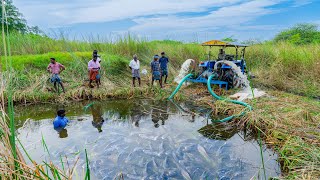 Pond Water Fish Catching and Cooking Fish Gravy in our Village  Country Fishing [upl. by Keifer]