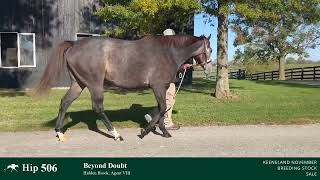 Hip 506  Beyond Doubt  Broodmare by Arrogate IF to Gunite [upl. by Gunter]