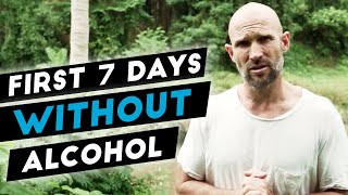 What Happens In The First 7  10 Days After You Quit Drinking Alcohol [upl. by Adlin649]