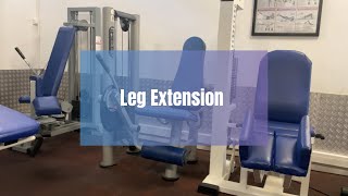 Leg Extension [upl. by Ahcorb]