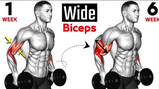 Best Exercises Bicep  Full Bicep Curls  Short Heat  Long Head  Brachialis 🏠At Home🏠 [upl. by Pippa]