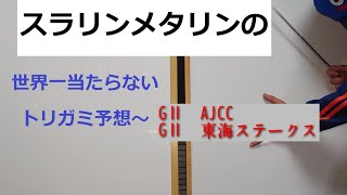 【AJCC、東海ステークス】スラリンメタリンの世界一当たらないトリガミ予想〜【2024年1月第3週】競馬予想 AJCC東海ステークス [upl. by Reggi]