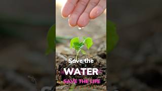 Save Water Save Life Simple Ways to Conserve Water Daily 🌍💧 [upl. by Enyrb802]