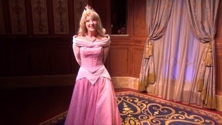 Cinderella and Sleeping Beauty at Princess Fairytale Hall  Princess Aurora Shows Us Around [upl. by Donalt]