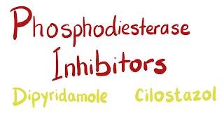 Phosphodiesterase PDE Inhibitors [upl. by Landa322]