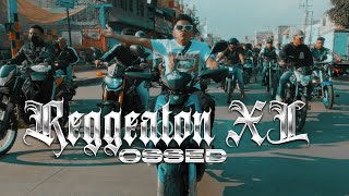 REGGAETON XL  OSSED FT DJ TENSEC Video Oficial [upl. by Stalk]