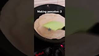 Making pancakes X3 scene pancakes furry therianthropy therian [upl. by Alracal]