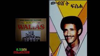 Wubshet Fiseha  Wahoye Amharic Tizita song [upl. by Able]