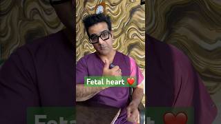 Fetal heart development viral trending pregnancy heart doctor gynaecologist [upl. by Prisca]