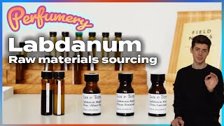 Searching for the BEST Labdanum Absolute [upl. by Ahsenaj989]