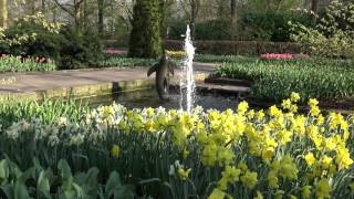 Keukenhof 2017  4 April  4K [upl. by Idnis]