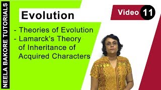 Evolution  NEET  Theories of Evolution  Lamarcks Theory of Inheritance of Acquired Characters [upl. by Rosenberger]