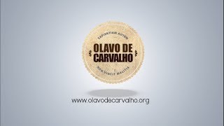 Olavo de Carvalho  Como salvar a educação no Brasil [upl. by Halonna828]