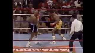 Hagler vs Hearns round 3 [upl. by Menard]