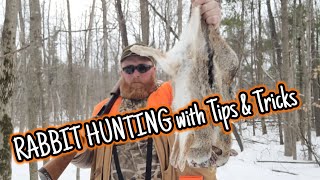 RABBIT HUNTING with TIPS amp TRICKS [upl. by Nehepts641]