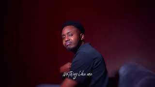 KabakaMusic  Nothing Like Me Visualizer [upl. by Ardnasal]