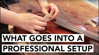 HOW TO Setup a Violin Professionally  The Sydney String Centre [upl. by Kidd]