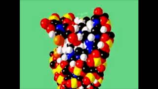 Morfofisiologia Humana I AO4 Macromoleculas Acidos Nucleicos [upl. by Adiaj]