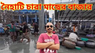 নৈহাটি চারা মাছের বাজার  Naihati Fish Seed Market  Rajendrapur Charapona Market Naihati Charapona [upl. by Micheal688]