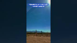 Temecula Valley Vineyards shorts [upl. by Rehttam]