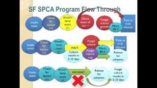 Ringworm Roundup 1 Overview  conference recording [upl. by Dardani]