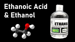 Ethanol and Ethanoic Acid Some Important Carbon Compounds  in Hindi for Class 10 [upl. by Loredo]