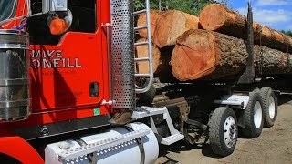 HullOakes Lumber 1 of 10  log trucks arrive [upl. by Vassili]