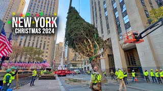 Installation Of NYC Rockefeller Center Christmas Tree 2024 ✨ New York City Christmas 2024 🌲 [upl. by Fanchie]