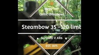 Steambow Crossbow Bolt Testing part 1 [upl. by Quince]