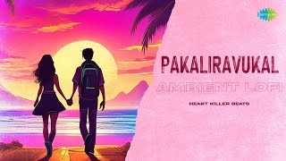 Pakaliravukal  Ambient Lofi  Kurup  Sushin Shyam  Neha Nair  Heart Killer Beats [upl. by Malin171]