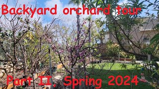 Backyard orchard tour Part II Spring 2024 [upl. by Nelluc]