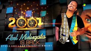 Abel Mulugeta Addis Amet Addis Neger ETHIOPIAN NEW MUSIC 2014 [upl. by Enilaf]