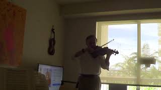 Guarneri Carrodus Violin Test 15 [upl. by Pelag385]