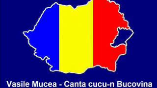 Vasile Mucea  Canta cucun Bucovina [upl. by Patrica]