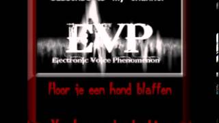 EVP van een blaffende honda dog barking [upl. by Schwenk115]