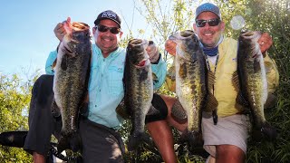 Giant Florida Everglades Largemouth Bass Secrets Revealed [upl. by Uhile508]