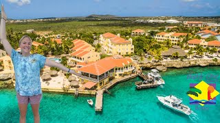 Buddy Dive Resort Bonaire Tour The Blue Horizon Diving Tour [upl. by Aynotel]