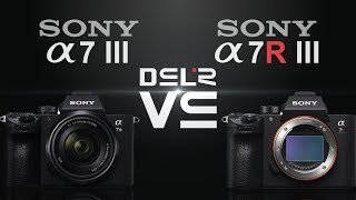 Sony alpha a7 III vs Sony alpha a7R III [upl. by Ayahs669]