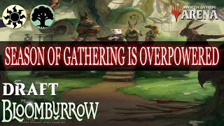 BLB Draft 5 Season of Gathering is Overpowered  Platinum Rank  Bloomburrow  Mtg Arena [upl. by Annaul960]