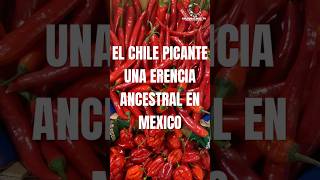 EL CHILE PICANTE EN MEXICO UNA ERENCIA ANCESTRAL [upl. by Dev]