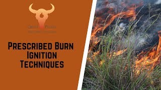 Prescribed Burn Ignition Techniques [upl. by Nevar]