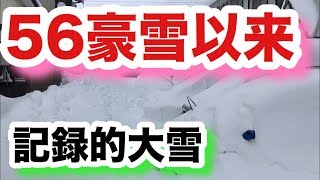 【福井大雪】記録的大雪 56豪雪以来 北陸地方 [upl. by Aerbma]