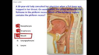 Where is the piriform recess located [upl. by Adiela]