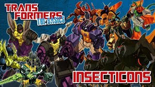 TRANSFORMERS THE BASICS on the INSECTICONS [upl. by Enajyram951]