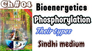 Bioenergetics class 11th Introduction [upl. by Wentworth]