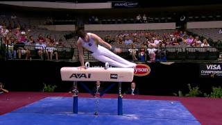 Tim McNeill  Pommel Horse  2009 Visa Championships  Men  Day 2 [upl. by Norret197]