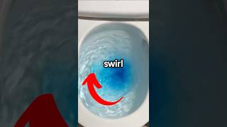 Do Toilets Swirl In The Opposite Direction In Australia [upl. by Ahsiemaj943]