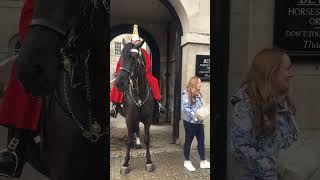 Lady ignored Royal Guard Horse shorts royalguards horseguardsparade london [upl. by Llet819]