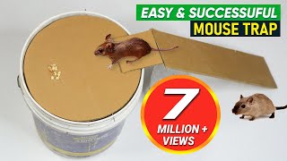 Bucket Mouse Trap  Best Mouse Trap  DIY Homemade mouse trap [upl. by Nyliak968]